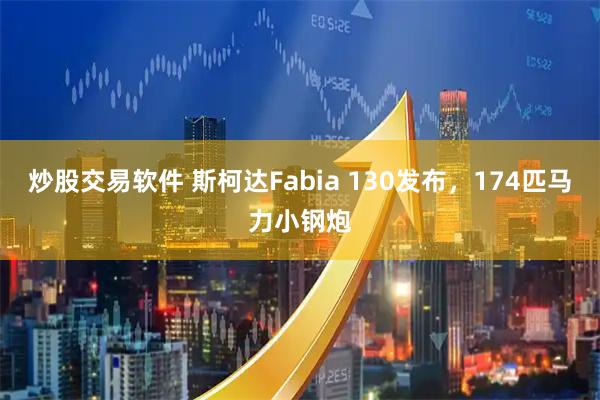 炒股交易软件 斯柯达Fabia 130发布，174匹马力小钢炮